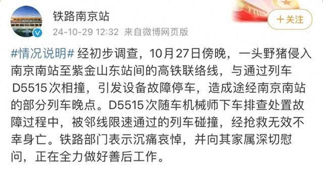野猪频上热搜背后：致害已达26个省份，多地开展猎捕调控