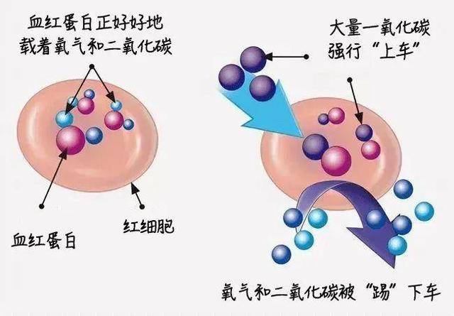 一家5口全部遇难！无色无味，家里有它速自查