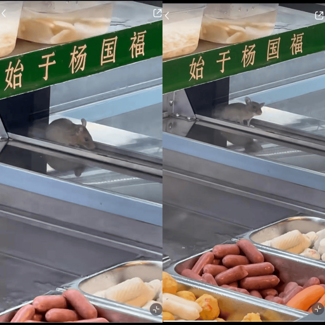 惊现老鼠，全部下架！杨国福突然被曝！曾冲刺麻辣烫第一股