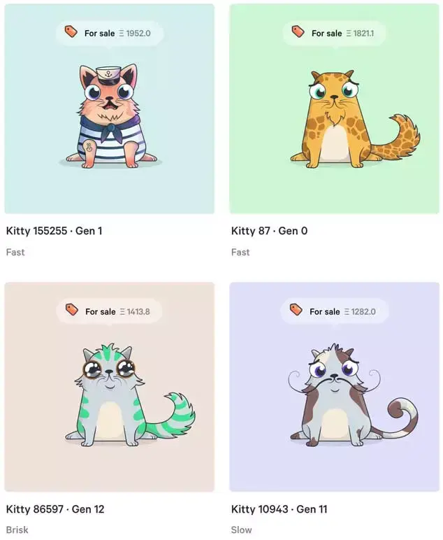 猫eth(猫eth什么接口)