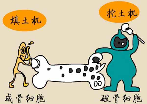 破骨eth(破骨风的功效与作用)
