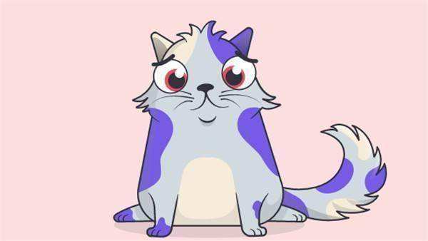 猫上的eth(猫上的光信号亮红色)